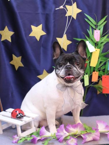 20230725杏ちゃん